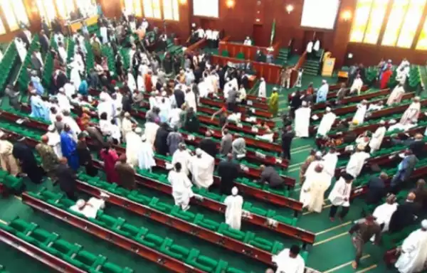 New Minimum Wage: Reps Reject N27,000 Approved For Nigerian Workers